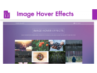 5 CSS Libraries สำหรับทำ Hover Image ให้สวยงาม สุดชิค